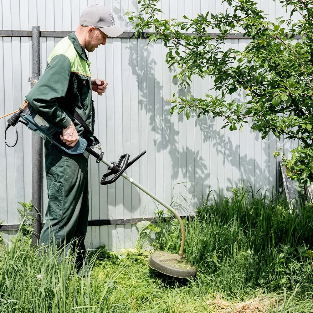 Údržba veřejné zeleně – péče o parkovou výsadbu